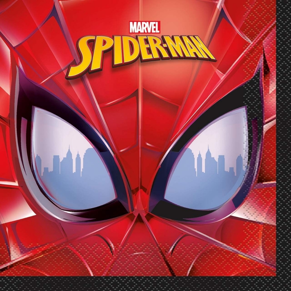 Ultimate Spider-Man Party In A Box! - Picture 4 of 10